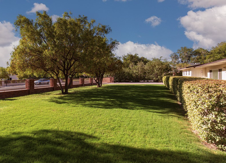 Grass front yard