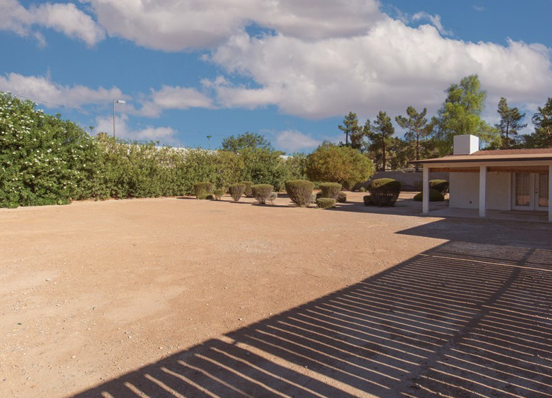 Spacious back yard