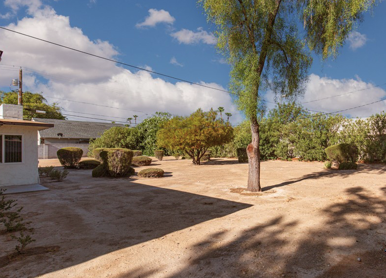 Large Yard